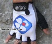 2011 FDJ Gants Ete Ciclismo