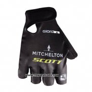 2018 Mitchelton Gants Ete Ciclismo