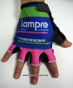 2015 Lampre Gants Ete Ciclismo