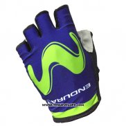 2017 Movistar Gants Ete Ciclismo