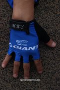 2014 Giant Gants Ete Ciclismo